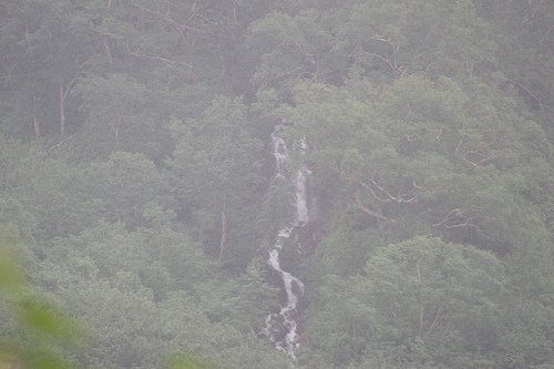 Mountain Stream